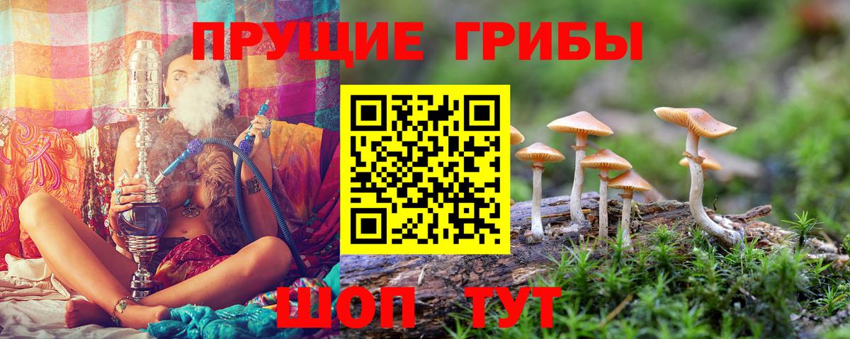 Галлюциногенные грибы GOLDEN TEACHER  Псилоцибиновые грибы мухоморы  Вход с VPN  продажа наркотиков  Шатура 